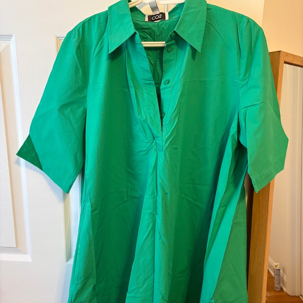 COS green poplin shirt dress